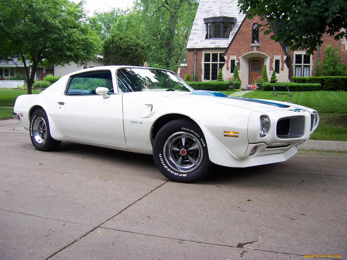 pontiac, trans, am, 